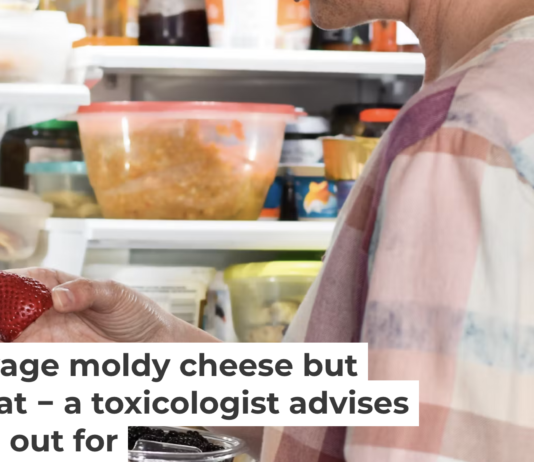 Molds on foods produce a range of microbial toxins and biochemical byproducts that can be harmful. JulieAlexK/iStock via Getty Images